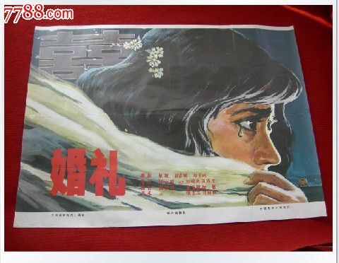 学历证书上面的报告编号在哪里